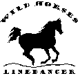 Wild Horses Linedancers